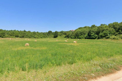 Zemljište u Novoj Vasi