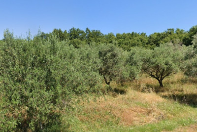 Kuća sa građevinskim zemljištem u Brtonigli