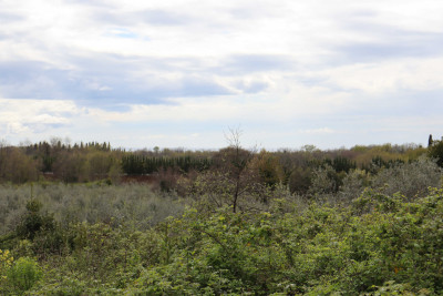 Zemljište u Brtonigli